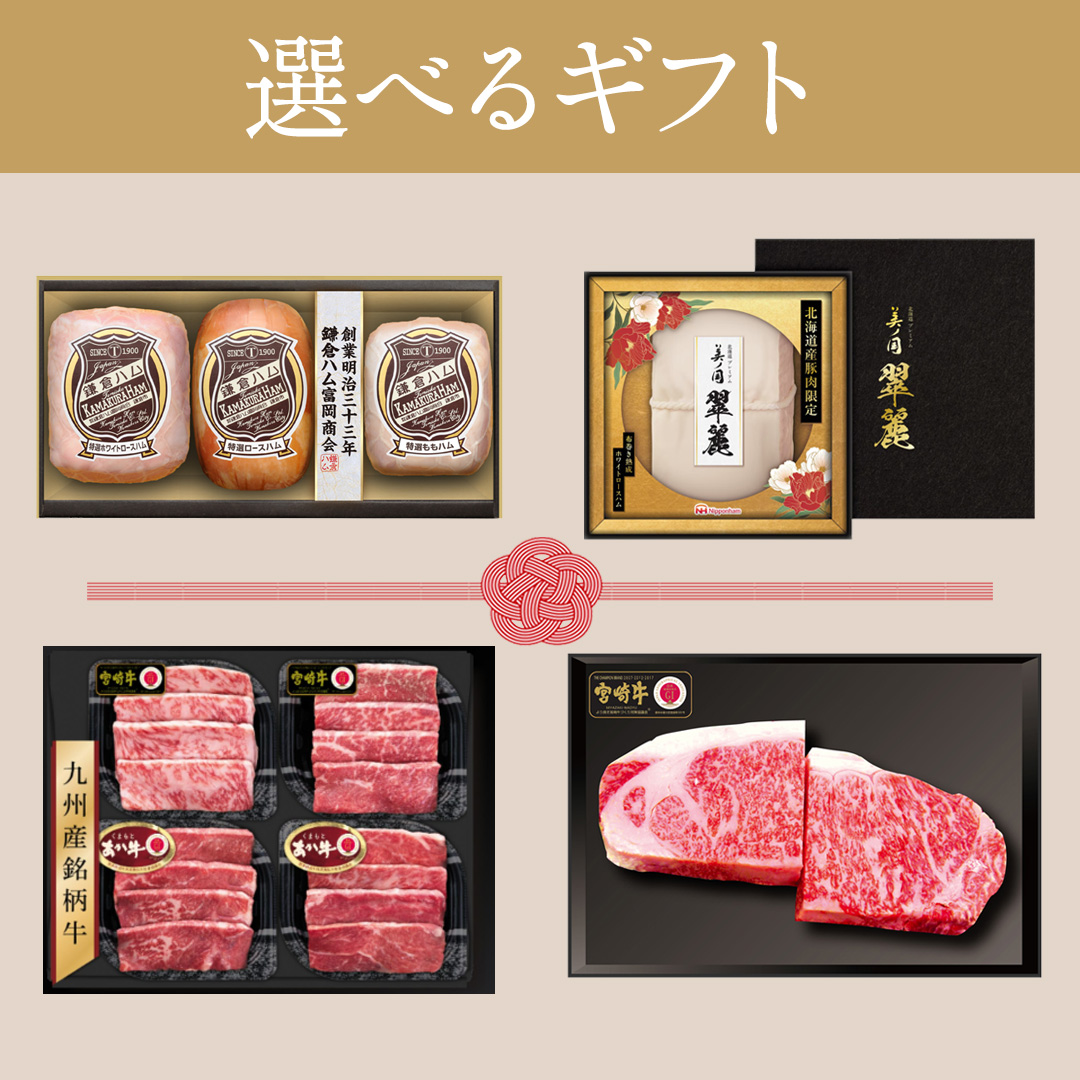 ニッポンハムグループ選べるギフトA